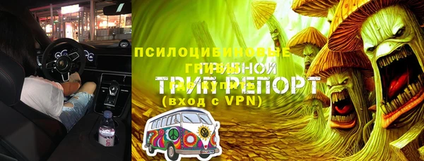PSILOCYBIN Заволжье