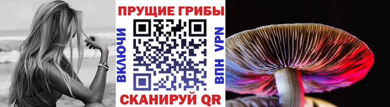 Галлюциногенные грибы Psilocybine cubensis Обоянь