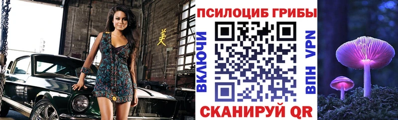 Купить закладки  Обоянь  Псилоцибиновые грибы Cubensis 